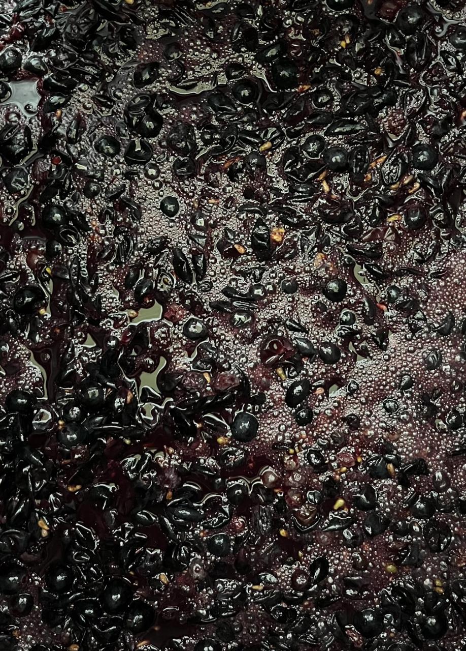 Detalle real del mosto durante la elaboración