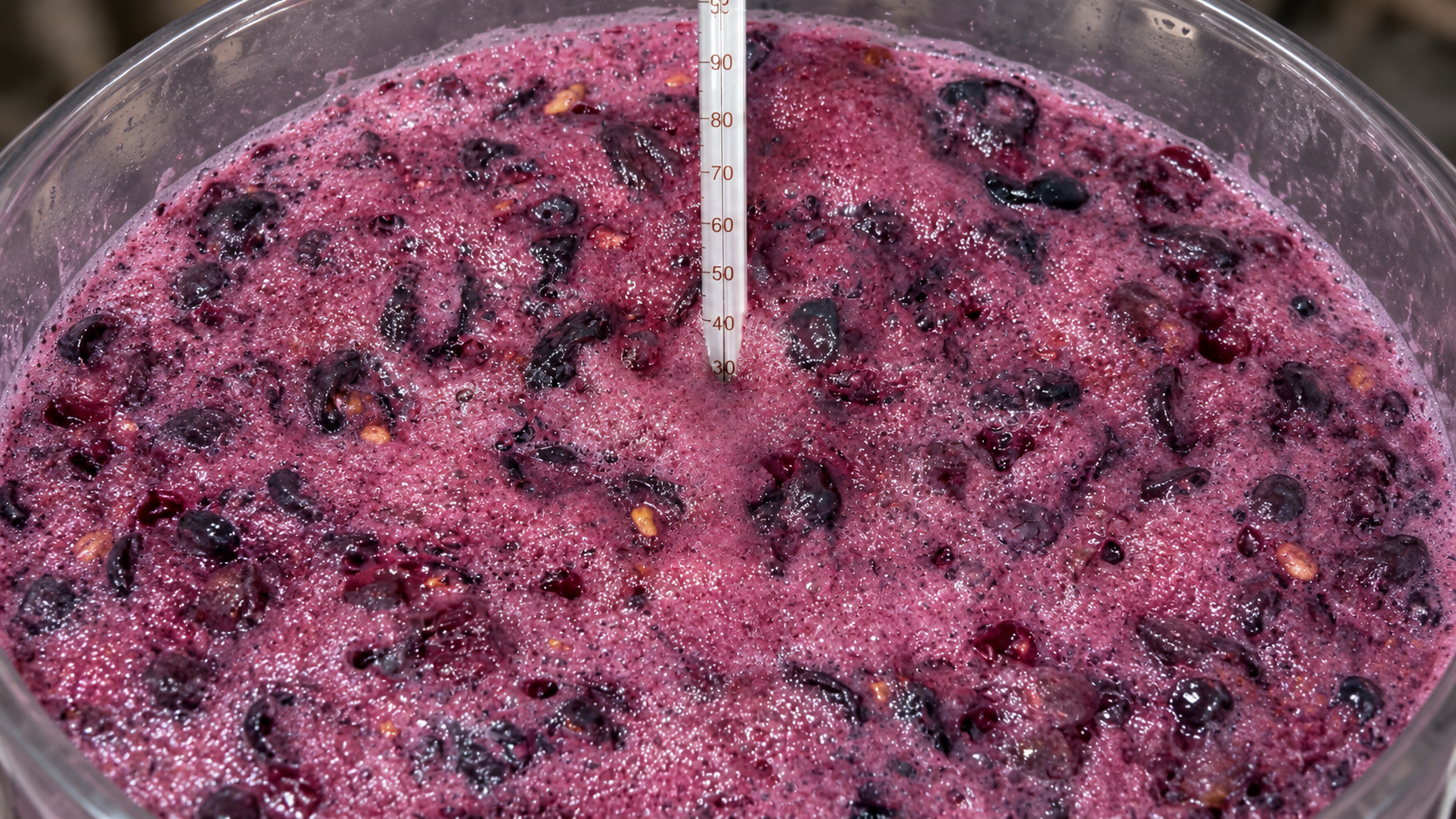 Mosto de uva en fermentación durante el proceso de elaboración de Huantay