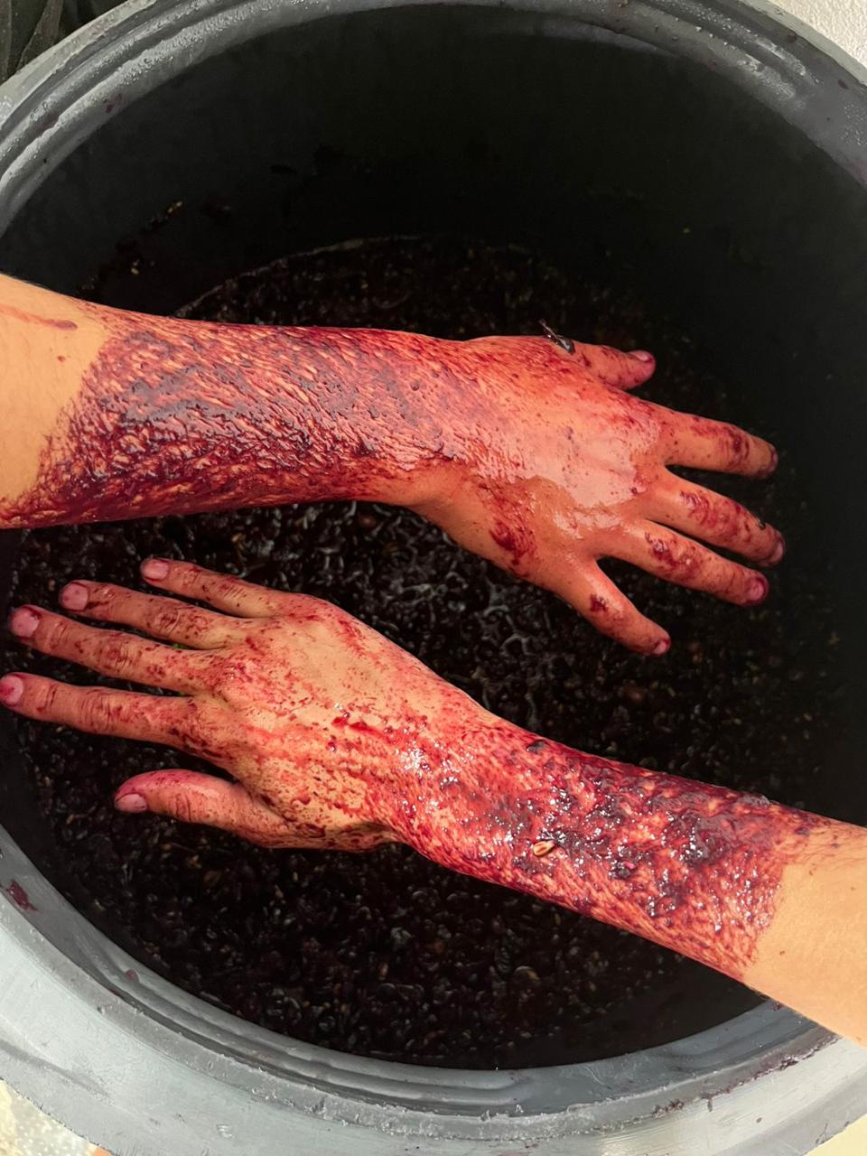 Manos dentro de un recipiente con uvas durante la elaboración